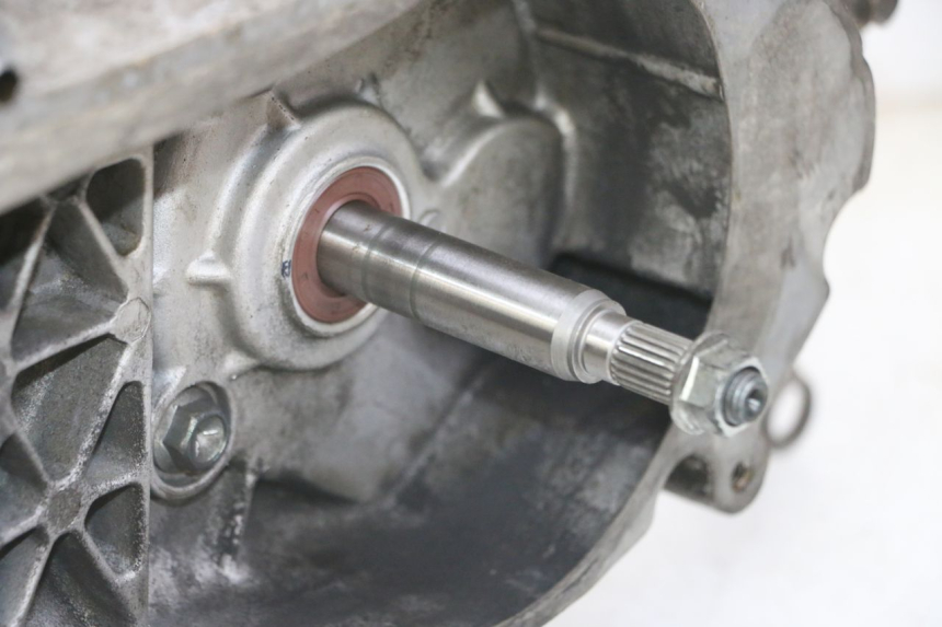 photo de MOTORE PEUGEOT TWEET 4T 50 (2014 - 2019) - Angolazione alternativa