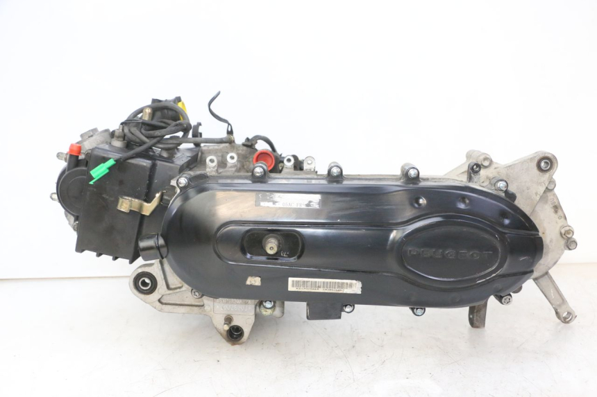 photo de MOTORE PEUGEOT TWEET 4T 50 (2018 - 2022) - Vista principale