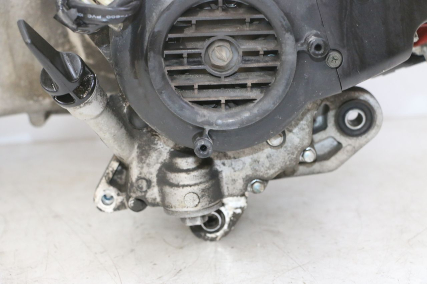 photo de MOTORE PEUGEOT TWEET 4T 50 (2018 - 2022) - Foto prodotto supplementare