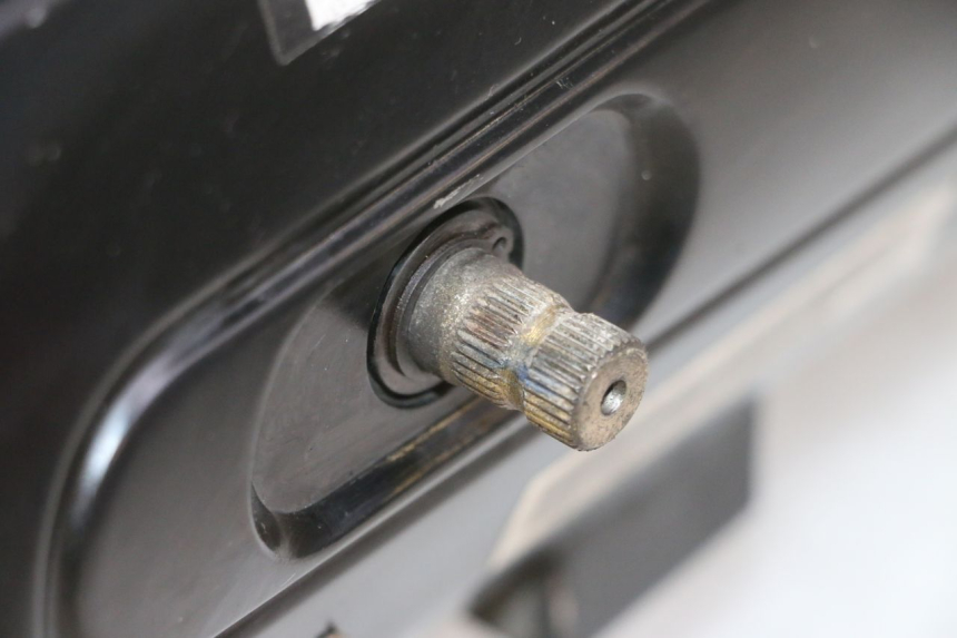 photo de MOTORE PEUGEOT TWEET 4T 50 (2018 - 2022) - Zoom qualità usato