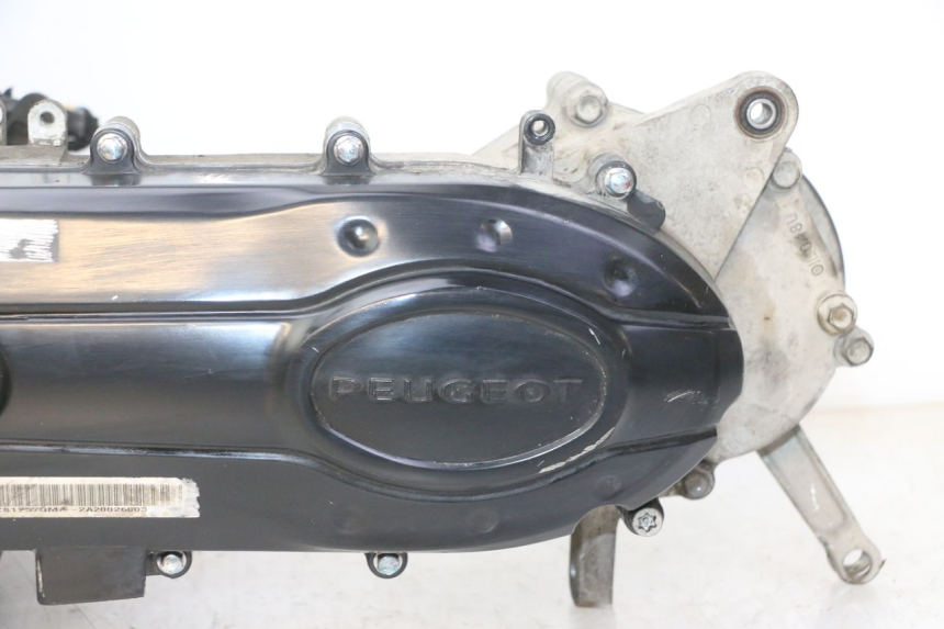 photo de MOTORE PEUGEOT TWEET 4T 50 (2018 - 2022) - Vista principale