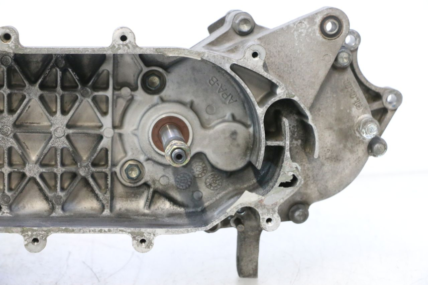 photo de MOTORE PEUGEOT TWEET 4T 50 (2018 - 2022) - Angolazione alternativa