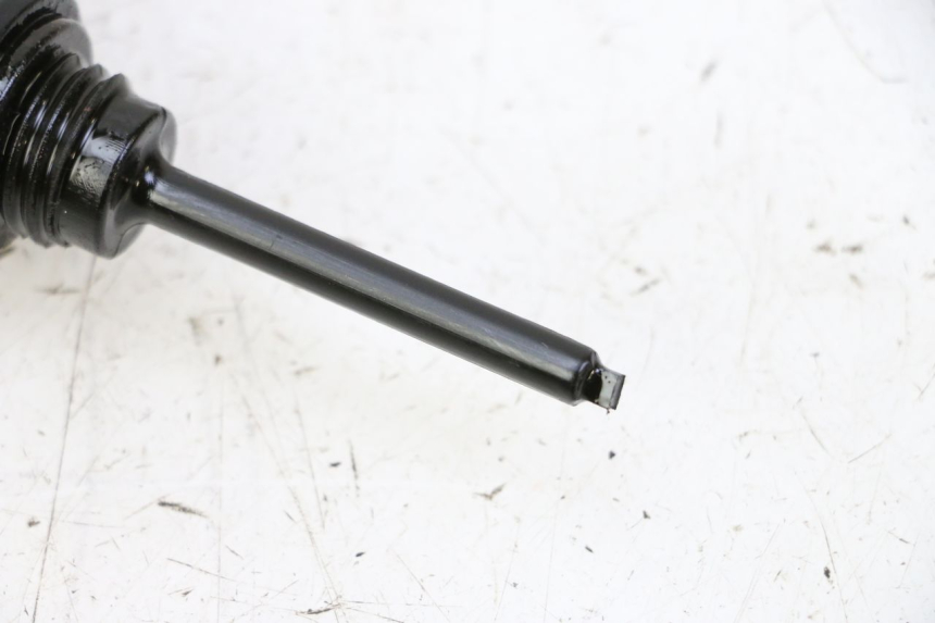 photo de MOTORE PEUGEOT TWEET PRO CARGO 50 (2018 - 2022) - Dettaglio del componente