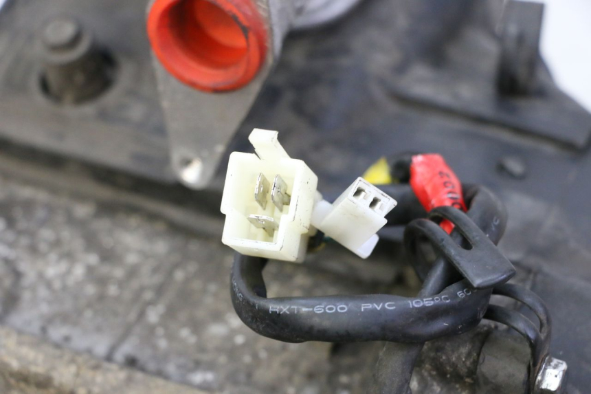 photo de MOTORE PEUGEOT TWEET PRO CARGO 50 (2018 - 2022) - Caratteristiche distintive