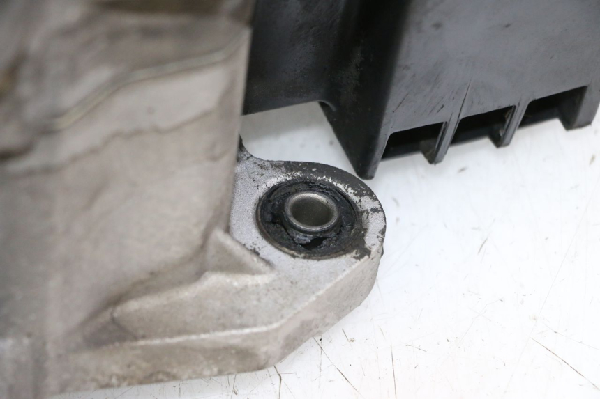 photo de MOTORE PEUGEOT TWEET PRO CARGO 50 (2018 - 2022) - Primo piano ad alta risoluzione