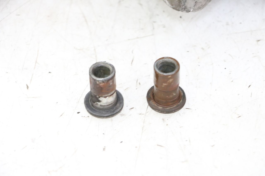 photo de MOTORE PEUGEOT TWEET PRO CARGO 50 (2018 - 2022) - Foto prodotto supplementare