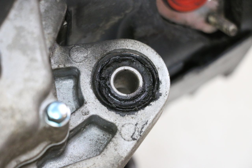 photo de MOTORE PEUGEOT TWEET PRO CARGO 50 (2018 - 2022) - Focus sulla struttura