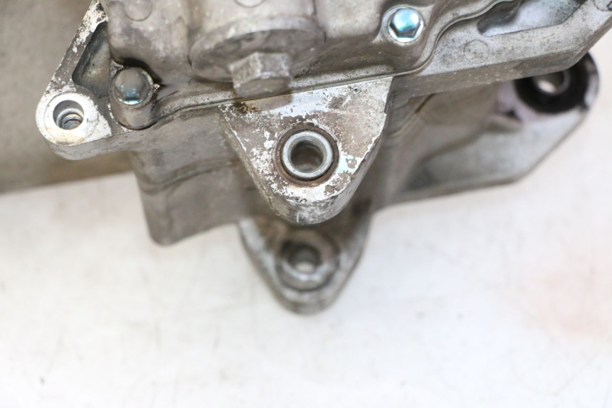 photo de MOTORE PEUGEOT TWEET PRO CARGO 50 (2018 - 2022) - Zoom qualità usato