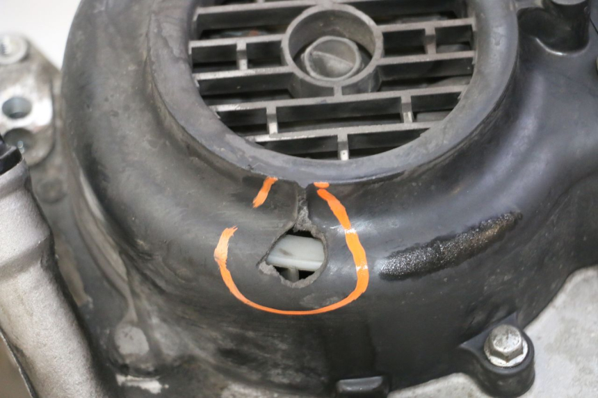 photo de MOTORE PEUGEOT TWEET PRO CARGO 50 (2018 - 2022) - Vista principale