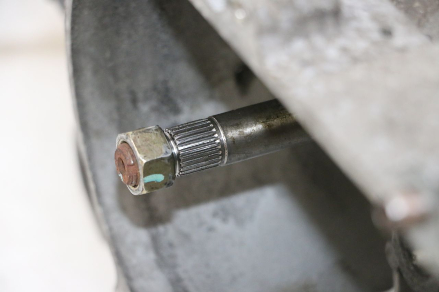 photo de MOTORE PEUGEOT TWEET PRO CARGO 50 (2018 - 2022) - Zoom sullo stato d'uso