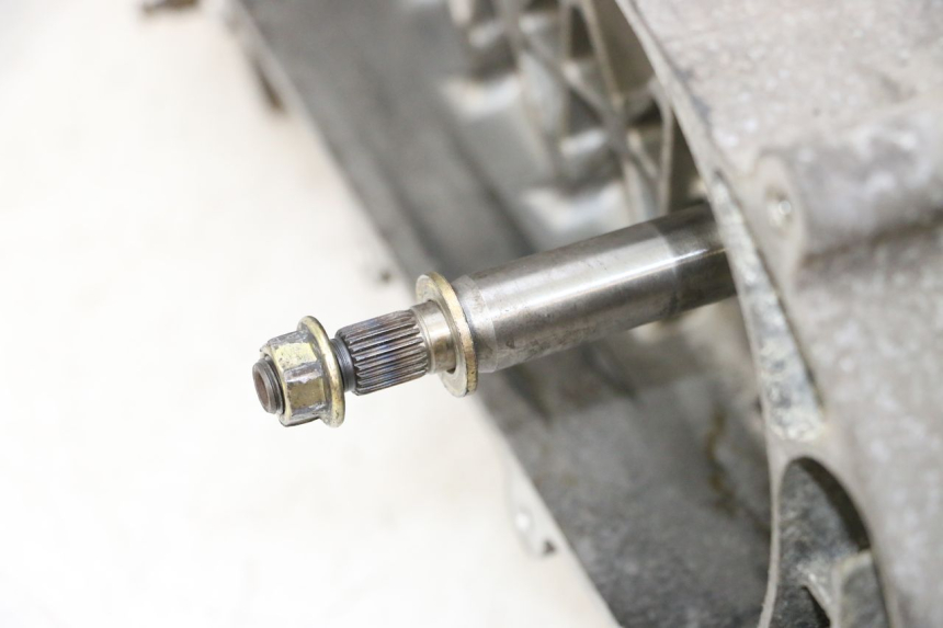 photo de MOTORE PEUGEOT TWEET PRO CARGO 50 (2018 - 2022) - Altra angolazione