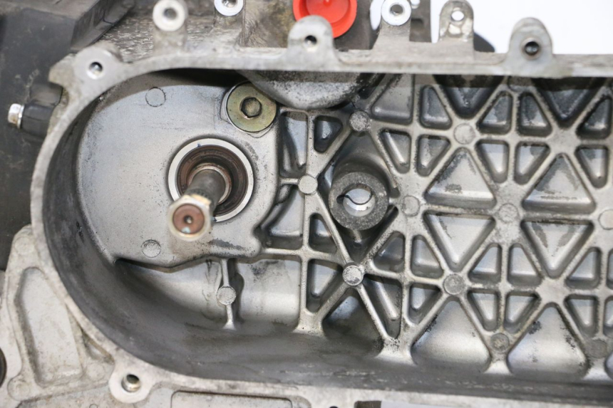 photo de MOTORE PEUGEOT TWEET PRO CARGO 50 (2018 - 2022) - Ricambio usato controllato