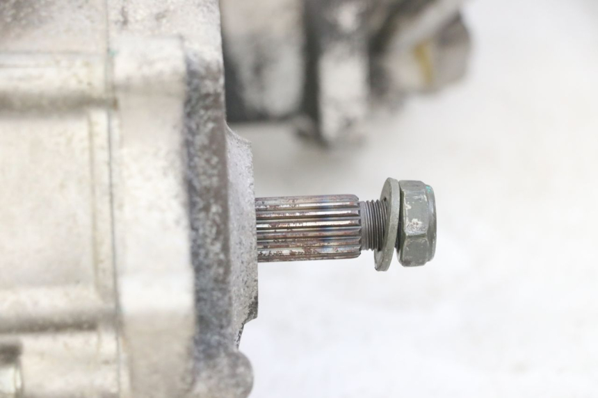 photo de MOTORE PEUGEOT TWEET PRO EFI 4T 50 (2021 - 2022) - Primo piano ad alta risoluzione