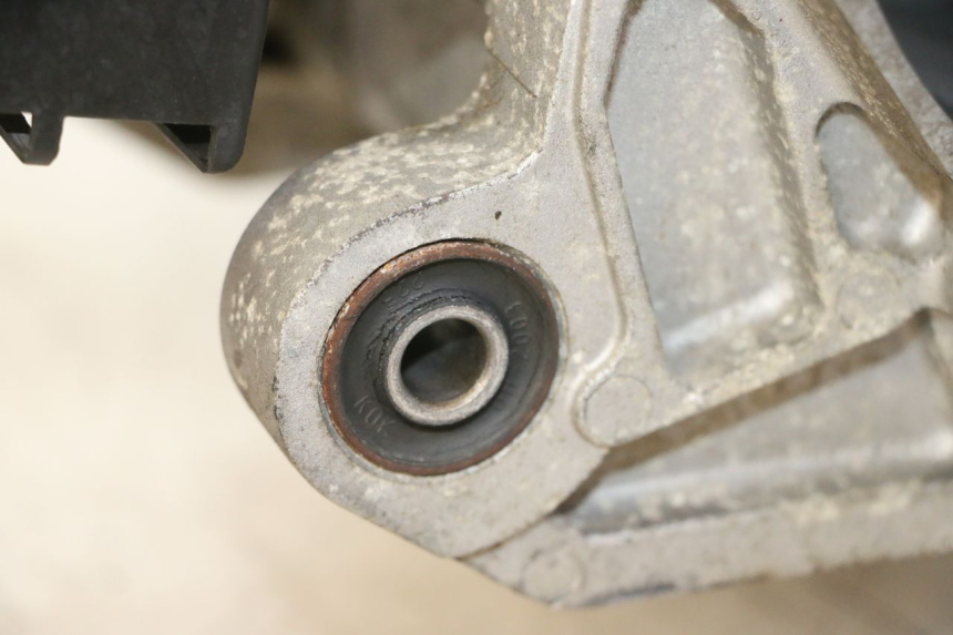 photo de MOTORE PEUGEOT TWEET PRO EFI 4T 50 (2021 - 2022) - Zoom sullo stato d'uso