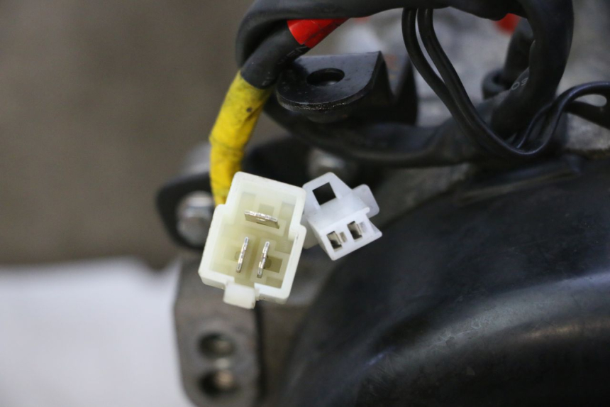 photo de MOTORE PEUGEOT TWEET PRO EFI 4T 50 (2021 - 2022) - Primo piano tecnico