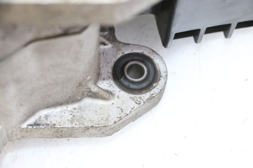 photo de MOTORE PEUGEOT TWEET PRO EFI 4T 50 (2021 - 2022) - Vista d'insieme del prodotto