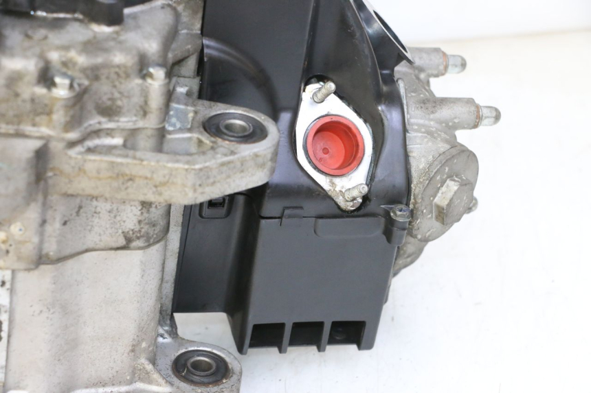 photo de MOTORE PEUGEOT TWEET PRO EFI 4T 50 (2021 - 2022) - Ricambio usato controllato