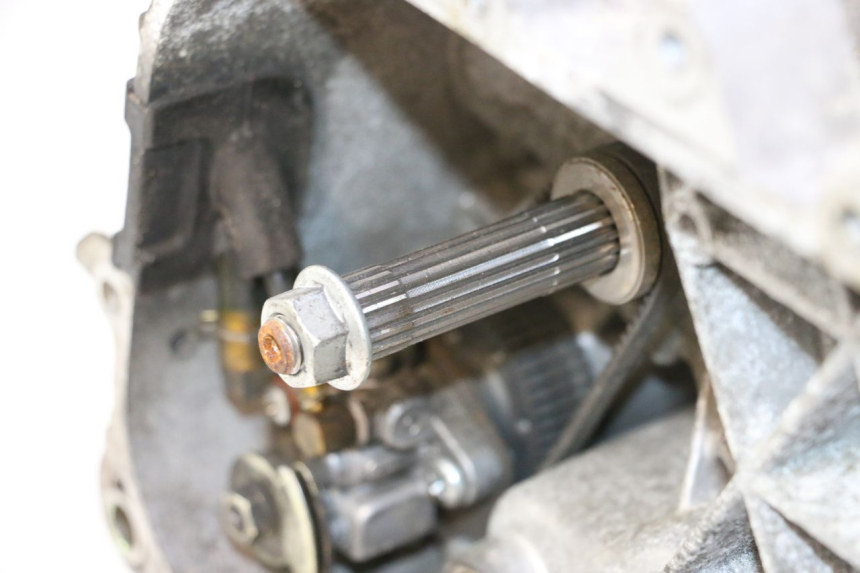 photo de MOTORE PIAGGIO TYPHOON 50 (2000 - 2009) - Dettaglio del componente