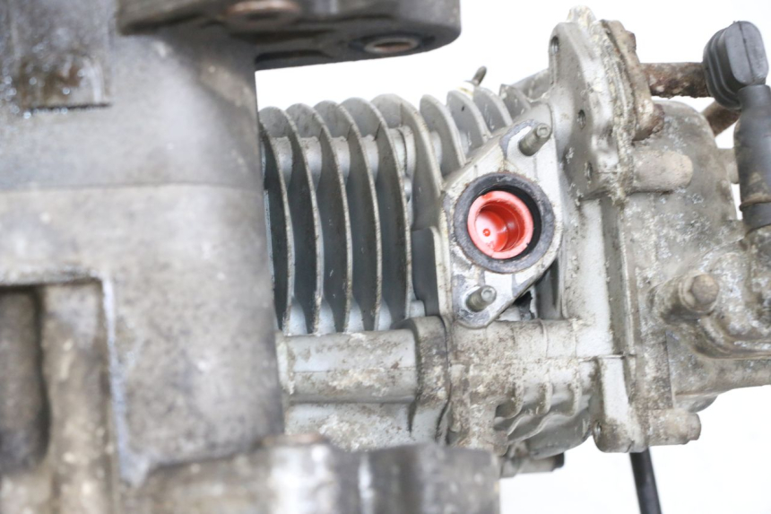 photo de MOTORE BEELINE VELOCE 4T 50 (2011 - 2020) - Dettaglio del componente