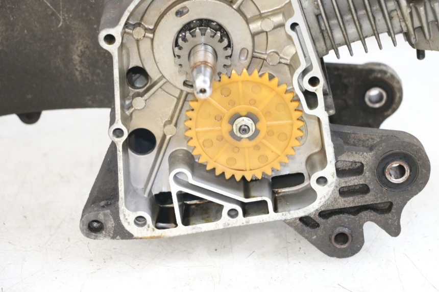 photo de MOTORE BEELINE VELOCE 4T 50 (2011 - 2020) - Stato della superficie e materiale