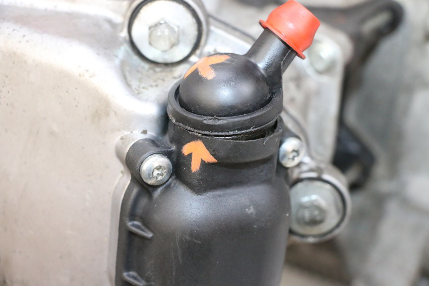 photo de MOTORE PIAGGIO VESPA GTS SUPER IE 125 (2009 - 2016) - Stato della superficie e materiale