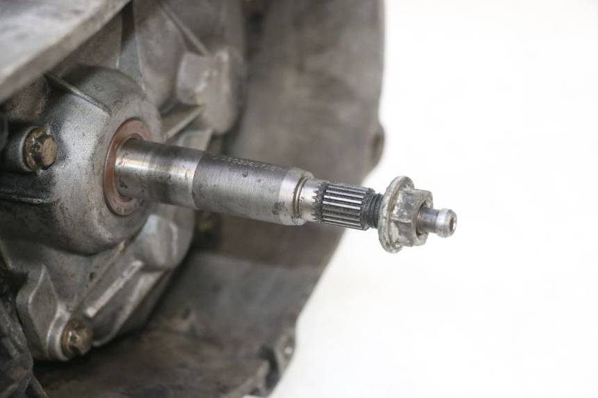 photo de MOTORE PIAGGIO VESPA LX 2T 50 (2005 - 2013) - Zoom sui componenti