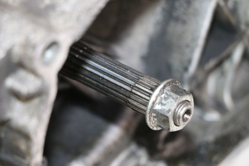 photo de MOTORE PIAGGIO VESPA S 2T 50 (2007 - 2014) - Focus sulla struttura