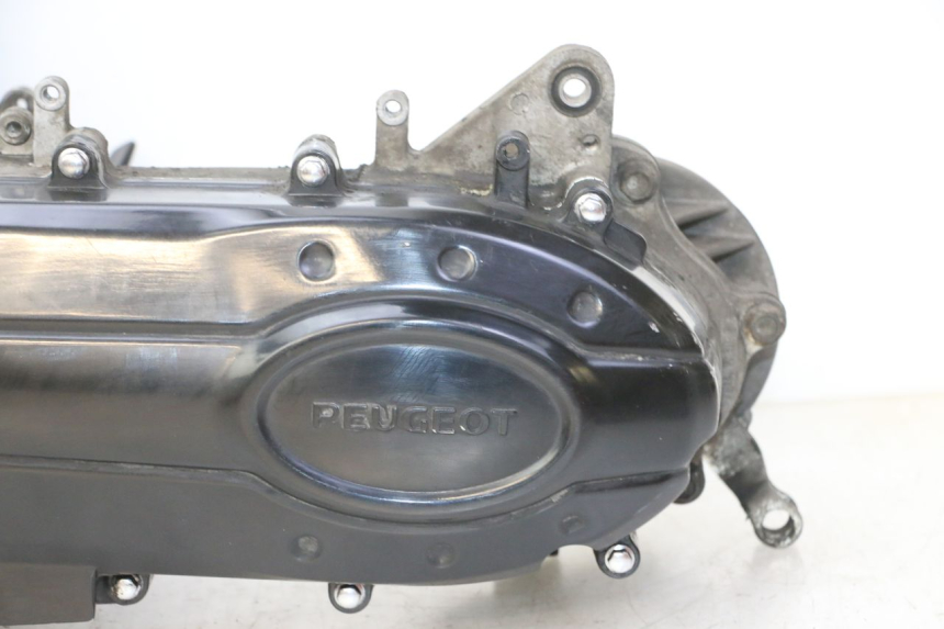 photo de MOTORE PEUGEOT VIVACITY NEW 4T 50 (2008 - 2017) - Panoramica del profilo