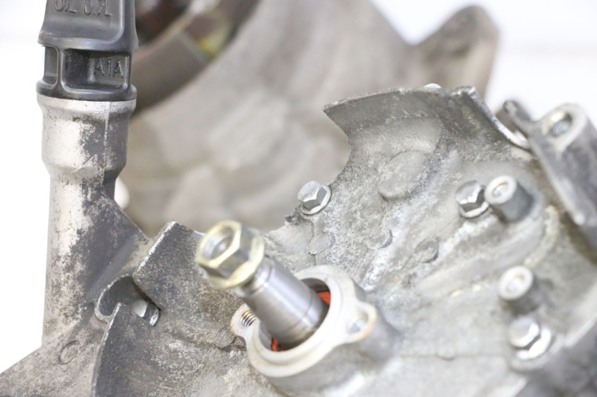 photo de MOTORE PEUGEOT VIVACITY NEW 4T 50 (2008 - 2017) - Zoom sullo stato d'uso