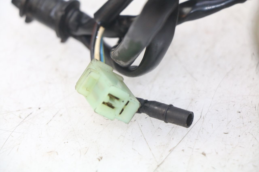 photo de MOTORE PEUGEOT VIVACITY 50 (1998 - 2003) - Zoom sui componenti