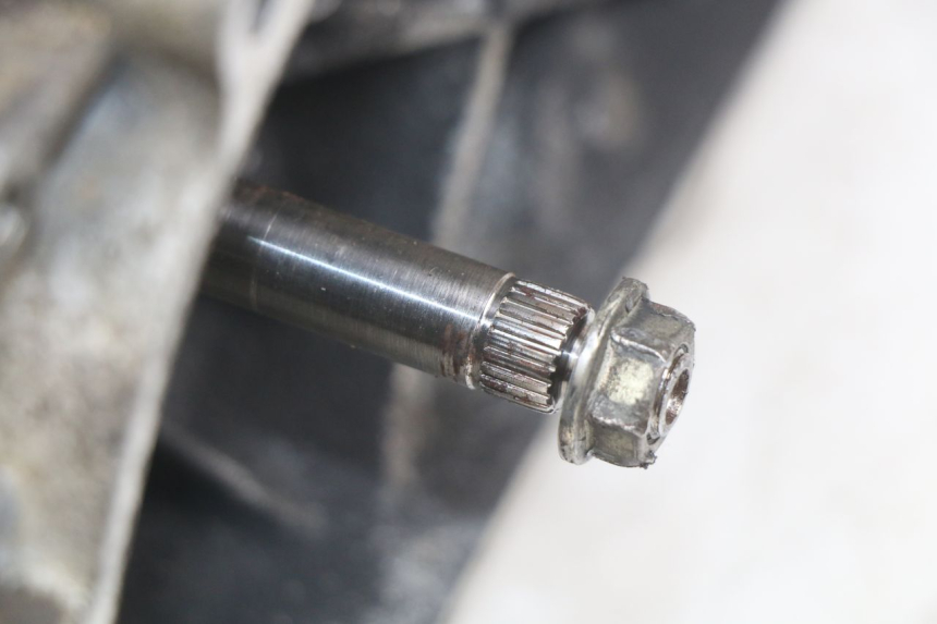 photo de MOTORE PEUGEOT VIVACITY 50 (1998 - 2003) - Focus sulla struttura