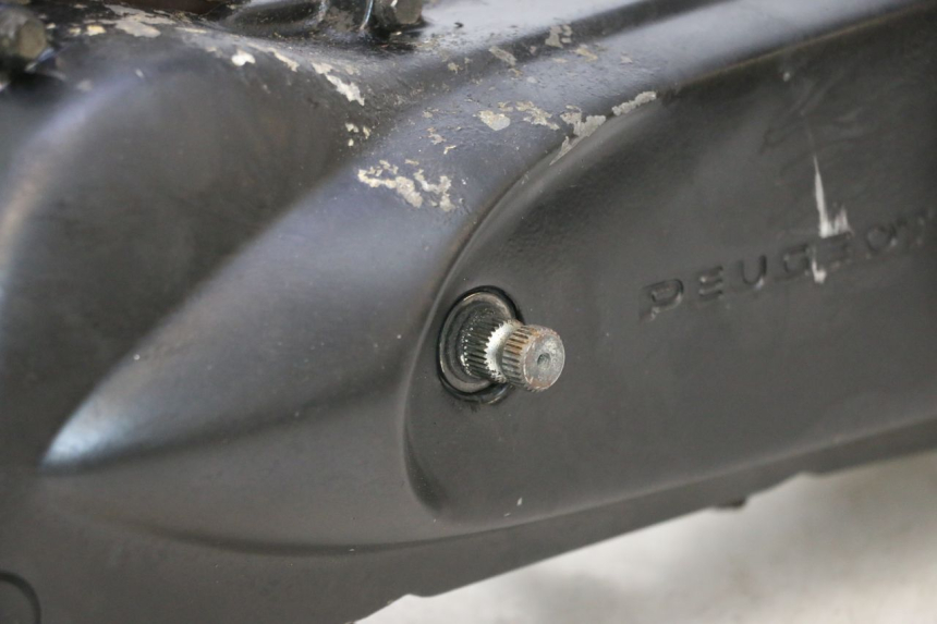 photo de MOTORE PEUGEOT VIVACITY 50 (1998 - 2003) - Zoom sui componenti