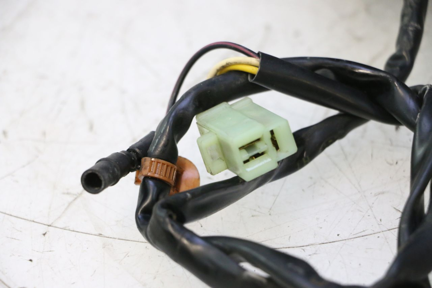 photo de MOTORE PEUGEOT VIVACITY 50 (2004 - 2009) - Caratteristiche distintive