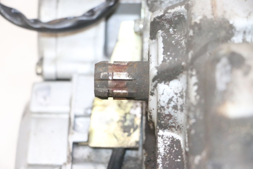 photo de MOTORE DAELIM VJ ROADWIN FI 125 (2008 - 2017) - Foto prodotto supplementare