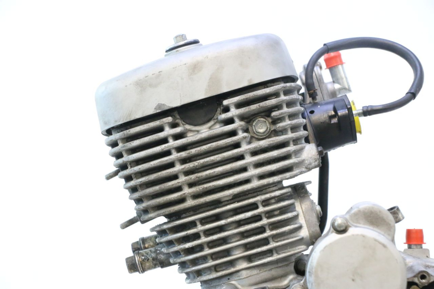 photo de MOTORE DAELIM VJ ROADWIN 125 (2004 - 2007) - Foto prodotto supplementare