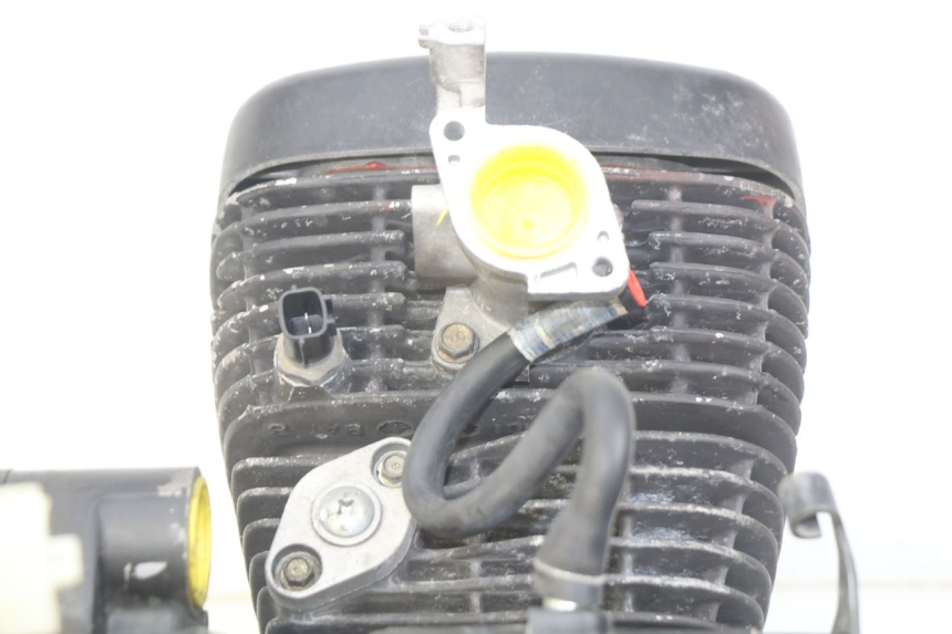photo de MOTORE DAELIM VL DAYSTAR 125 (2000 - 2011) - Zoom sui componenti