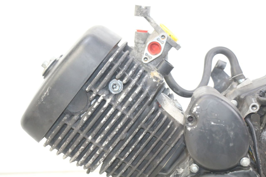 photo de MOTORE DAELIM VL DAYSTAR 125 (2000 - 2011) - Foto prodotto supplementare
