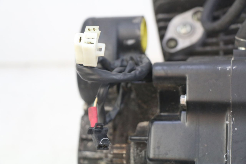 photo de MOTORE DAELIM VL DAYSTAR 125 (2000 - 2011) - Ricambio usato controllato