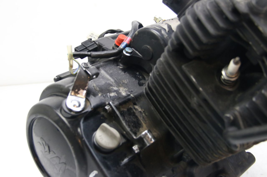 photo de MOTORE SYM WOLF SB 125 (2011 - 2018) - Zoom sui componenti