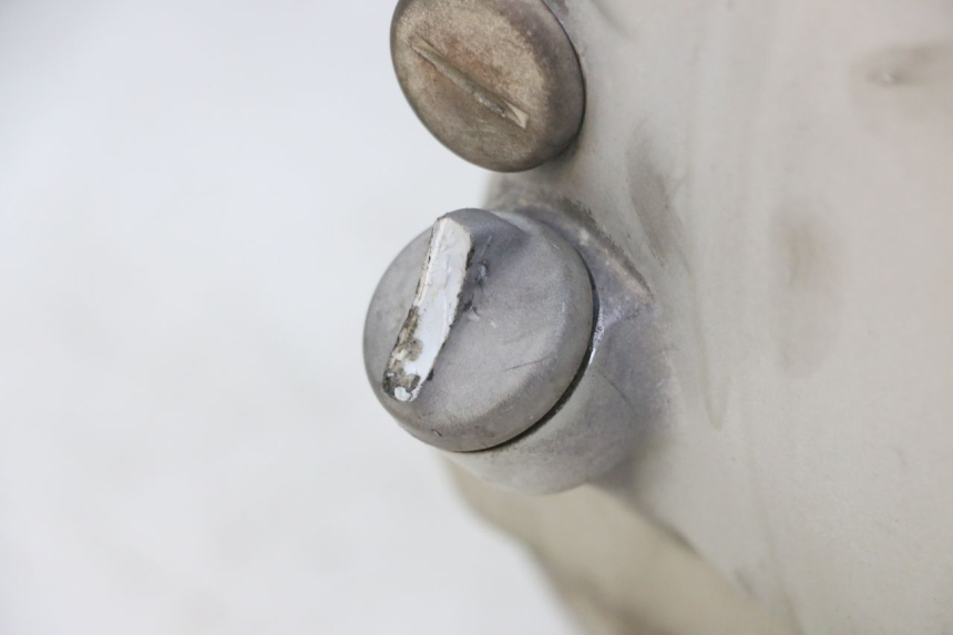 photo de MOTORE YAMAHA X-MAX XMAX ABS 250 (2010 - 2014) - Dettaglio del componente