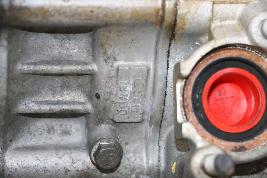 photo de MOTORE YAMAHA XMAX X-MAX 125 (2006 - 2009) - Dettaglio del componente