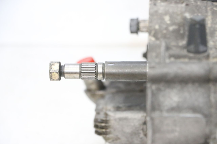 photo de MOTORE PIAGGIO X8 125 (2004 - 2007) - Dettaglio del componente