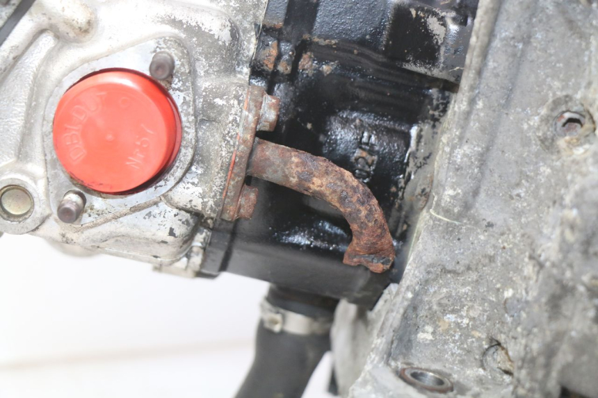 photo de MOTORE PIAGGIO X9 125 (2000 - 2003) - Dettaglio del componente