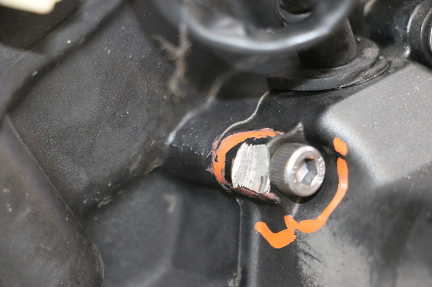 photo de MOTORE YAMAHA XJ6 ABS 600 (2008 - 2016) - Primo piano tecnico