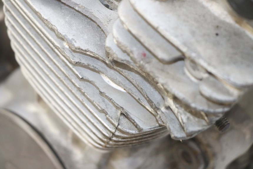 photo de MOTORE YAMAHA XJN DIVERSION 600 (2000 - 2003) - Primo piano tecnico