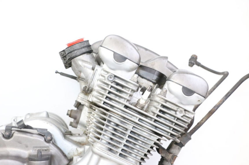 photo de MOTORE YAMAHA XJN DIVERSION 600 (2000 - 2003) - Primo piano tecnico