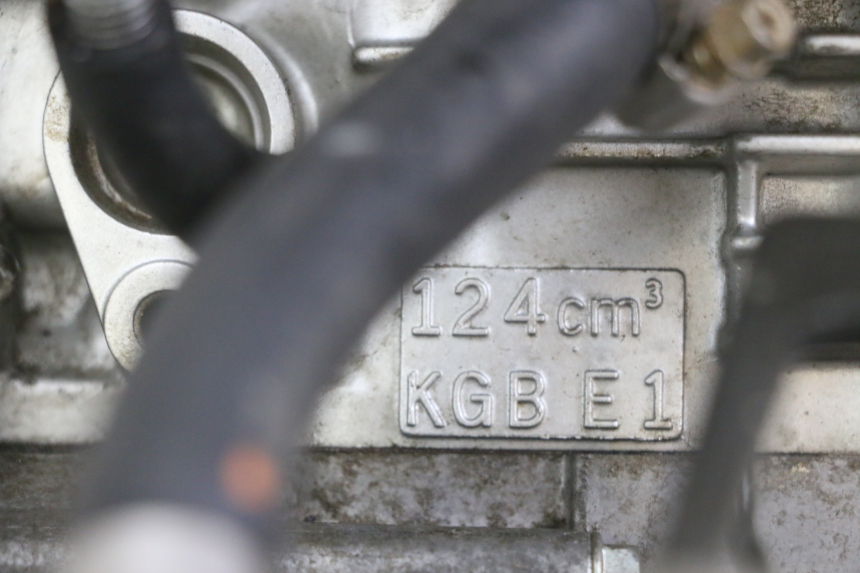 photo de MOTORE HONDA XLV VARADERO 125 (2000 - 2006) - Panoramica del profilo