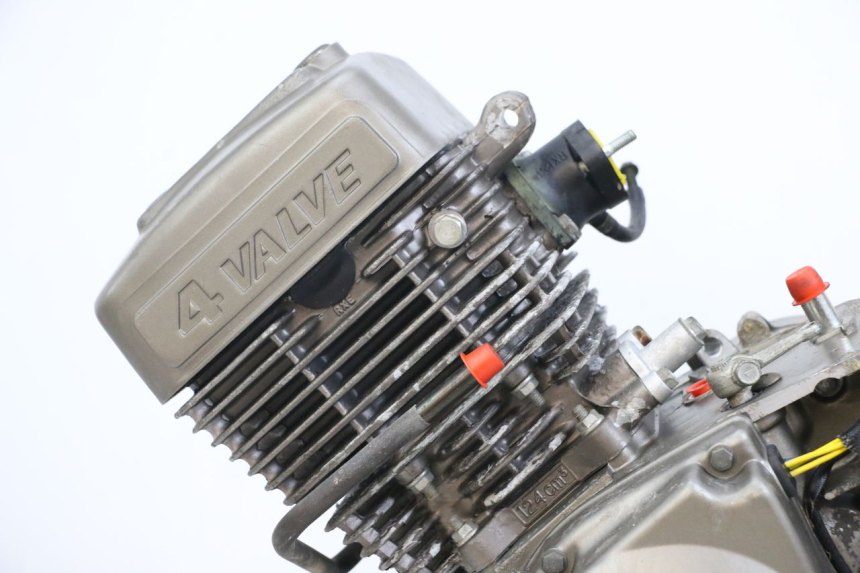 photo de MOTORE HYOSUNG XRX 125 (2000 - 2008) - Ispezione visiva dettagliata