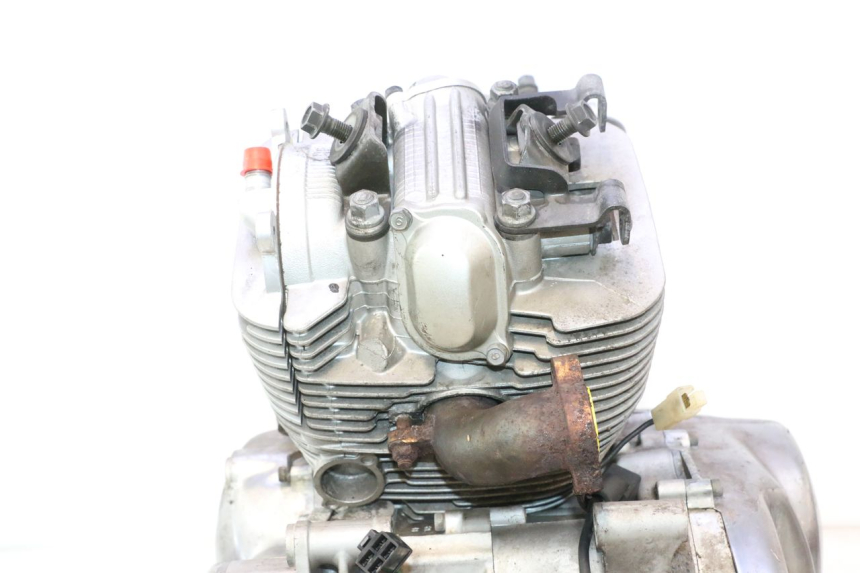 photo de MOTORE YAMAHA XV VIRAGO 535 (1988 - 2004) - Marcature e riferimenti originali