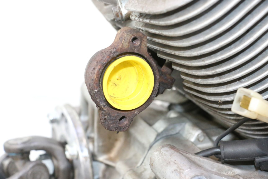 photo de MOTORE YAMAHA XV VIRAGO 535 (1988 - 2004) - Caratteristiche distintive